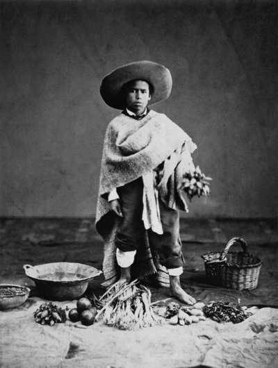 Native of Mexico by Francois Aubert